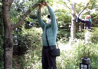 木札の取り付け 写真